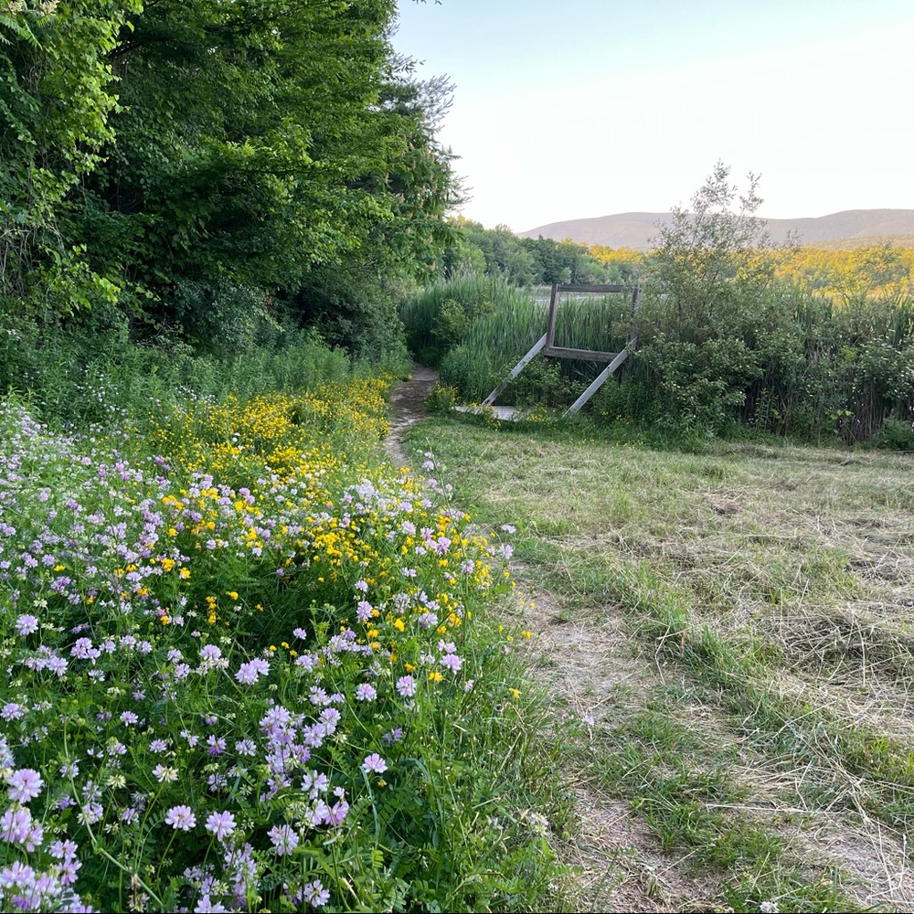 Meet your Posher, Isabel